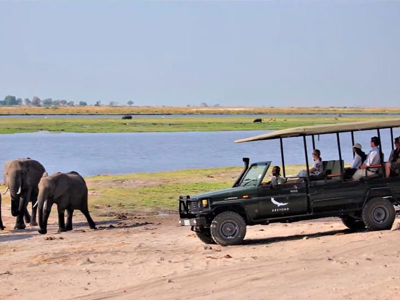 The Best Places to Stay Near Chobe National Park 12 chobe river , best place near chobe national park