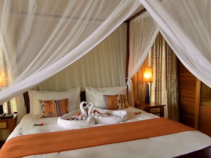The Best Places to Stay Near Chobe National Park 28 chobe marina lodge,best place near chobe national park