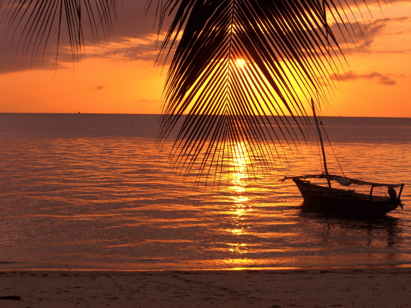 The 8 Best African Safari Tours for 2025-2026 3 Tanzania & Zanzibar Safari
