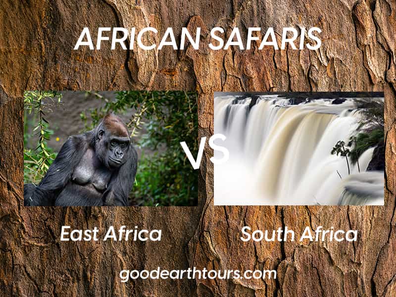 East Africa vs Southern African Safaris: What is the Difference?