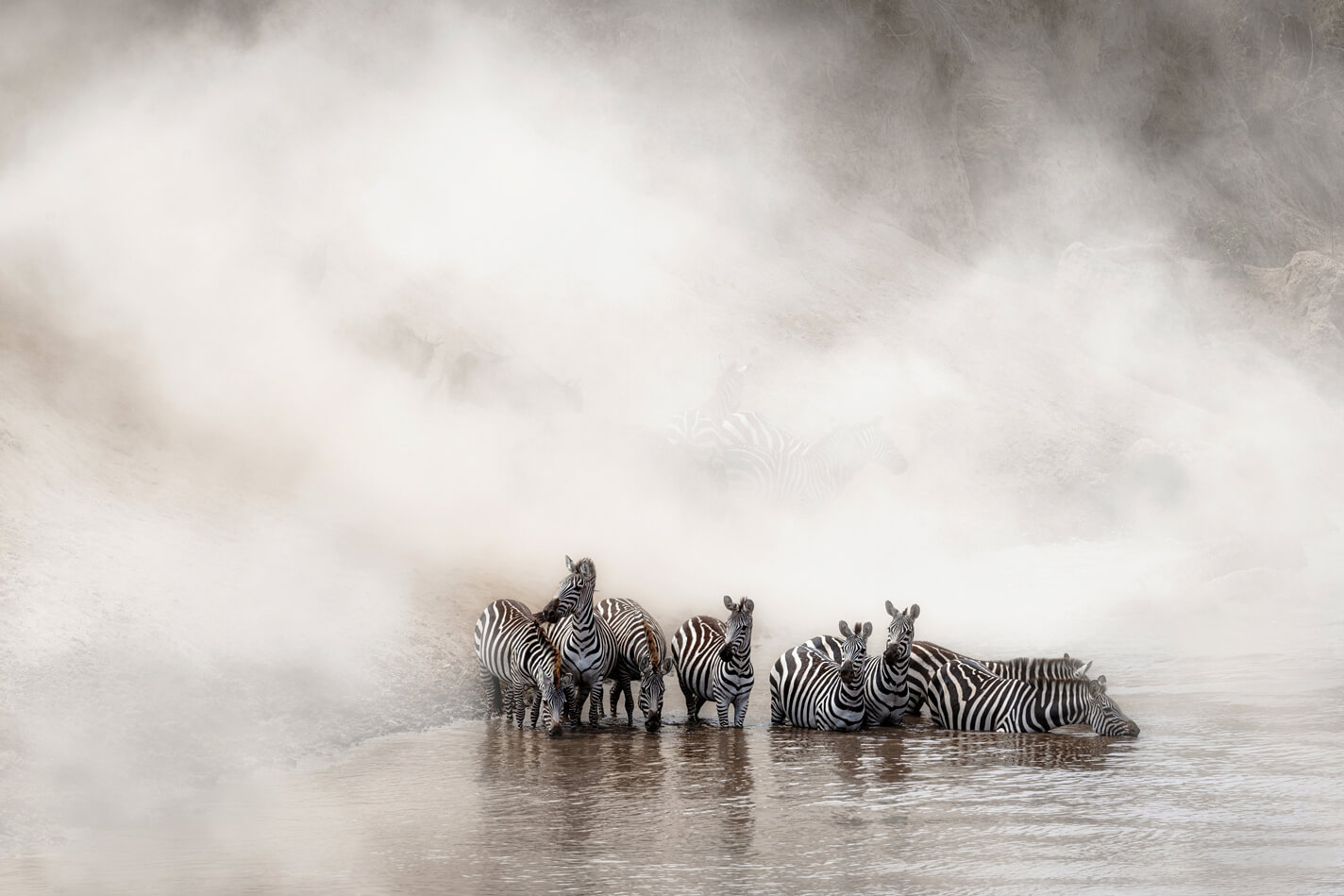 Best places to see Zebra in Africa - Safari Index Africa Good Earth tours