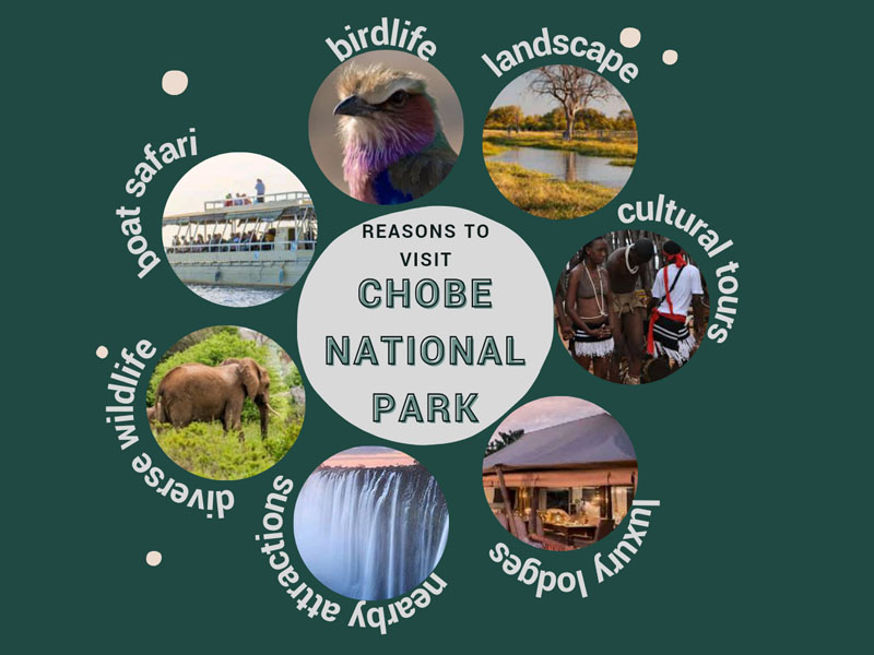 Is Chobe National Park Worth Visiting? 