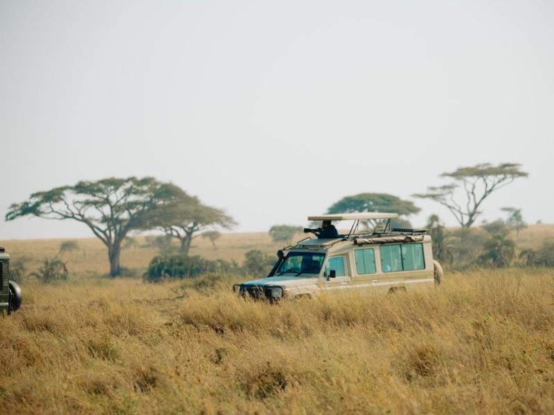 The Best African Safari Tours, & Packages: A Comprehensive Guide