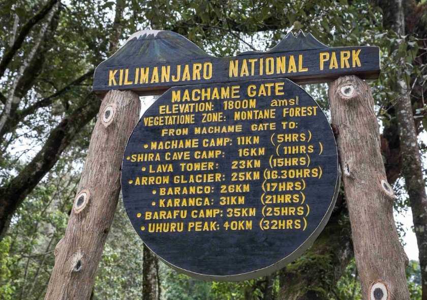 The Machame Route Itinerary: An 8-Day Journey to the Summit