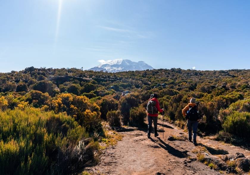 Partner with Good Earth Tours for a seamless and responsible Kilimanjaro experience.