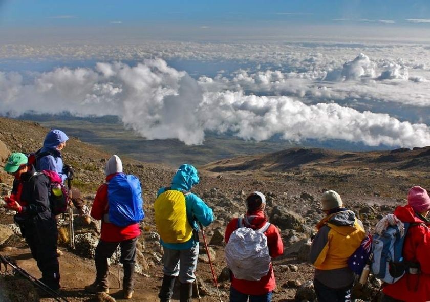 Best Time to Climb Kilimanjaro’s Rongai Route: A Seasonal Guide