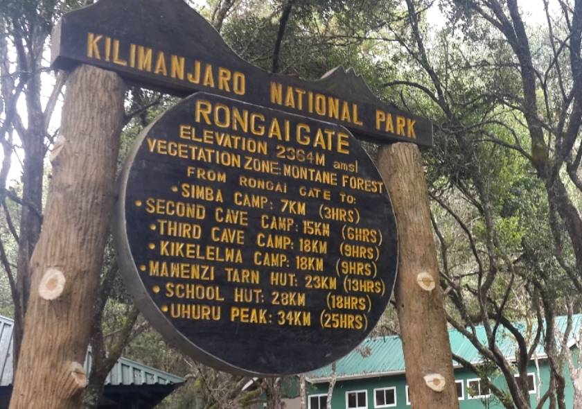 When Is the Best Time to Climb Kilimanjaro’s Rongai Route?