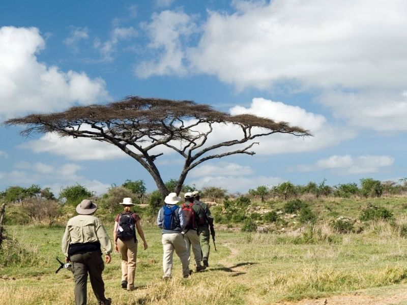 What You Should Know Before Booking a Group Safari