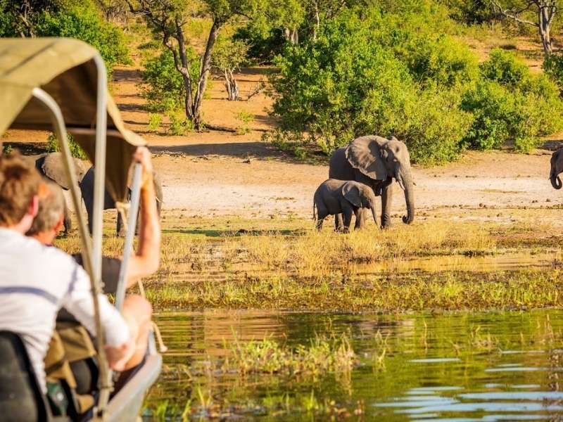 Group of Tourists enjoying Safari