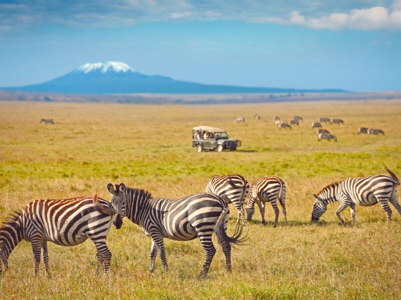 the must see destinations through East Africa for your next family vacation.