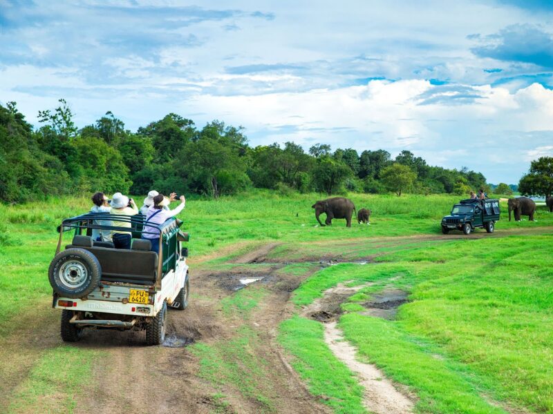 Book Early, Save Big: The Benefits of Planning Your African Safari Ahead