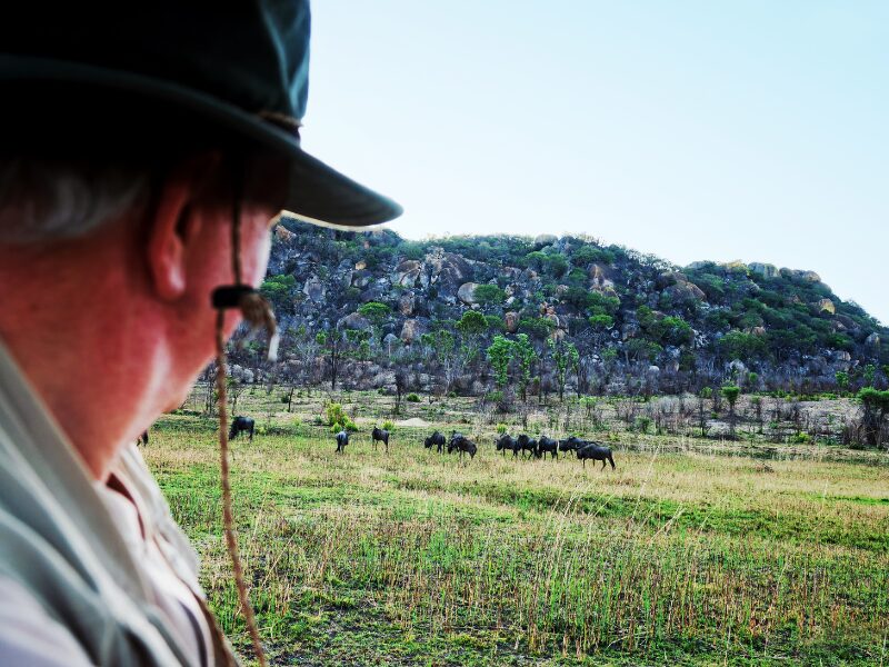 Best African Safaris for Seniors: Do’s, Don’ts, & Top Destinations