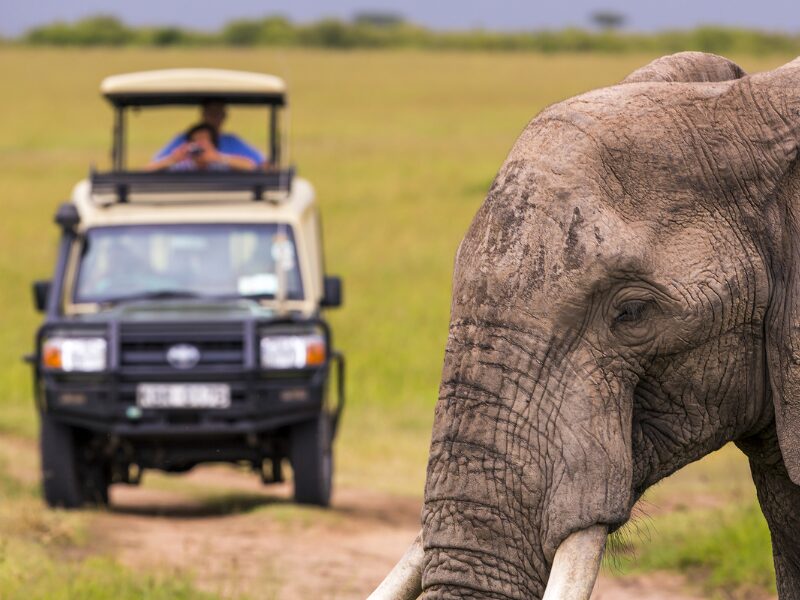 Best Times for Popular East Africa Safari Destinations