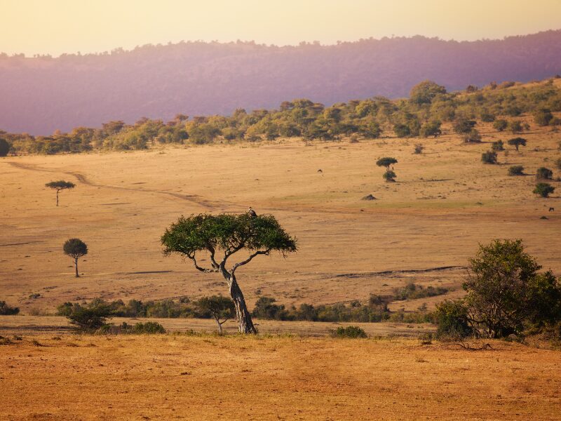 Beyond the Big Five,  Discovering Kenya's Hidden Gems and Must-Visit Attractions
