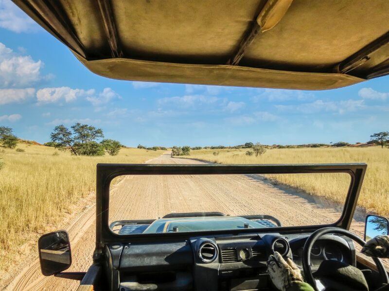 When to Go on an African Safari