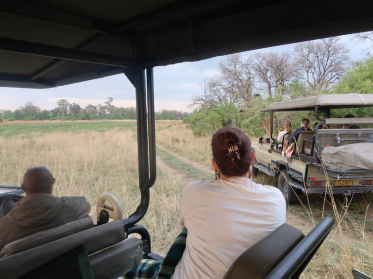 Guests viewing wildlife from an open safari vehicle as another Land Cruiser drives ahead through tall grass.