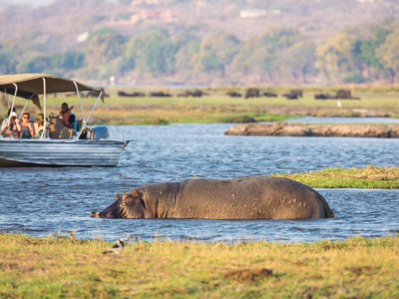 Experience the Best National Parks And Reserves In South Africa’s Wilderness