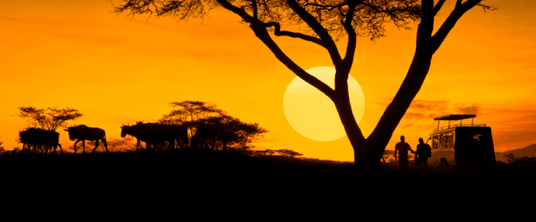 Tanzania Safari