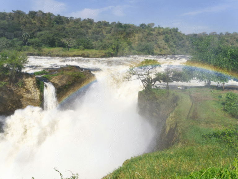 The powerful Murchison Falls crashing down the cliffs with a rainbow arching across the misty spray in Uganda