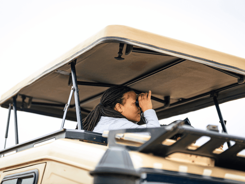 What to Expect in the Serengeti