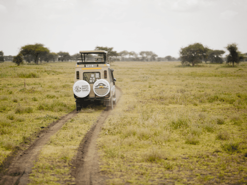 Where is the Serengeti?