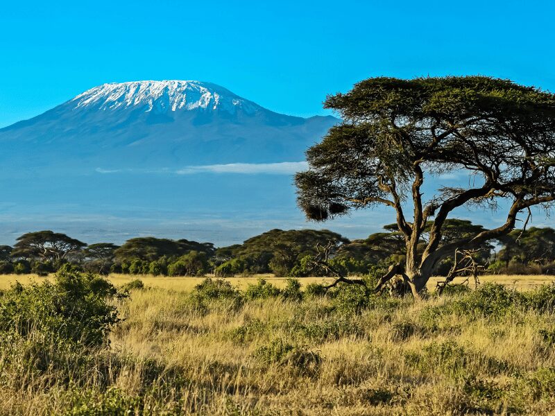 African savannah in Amboseli game reserve Kenya