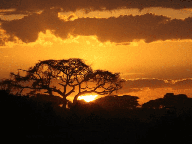Sunset over Amboseli National Park