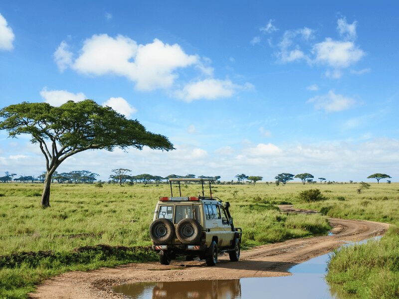 beat the heat_ summer safari africa tips