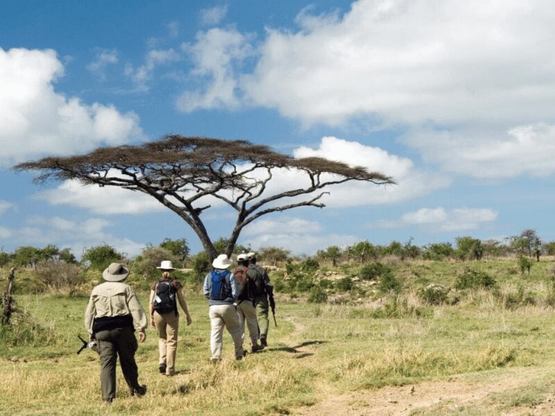 Custom African Safaris: What Bespoke Really Means 4 group of travelers walking through the savannah