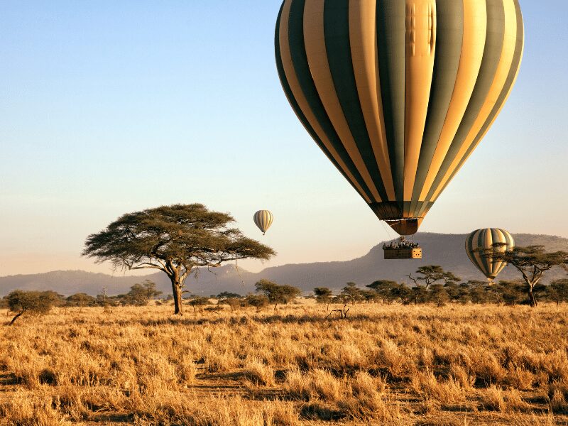 Safari Destination Guide: Tanzania vs South Africa 1