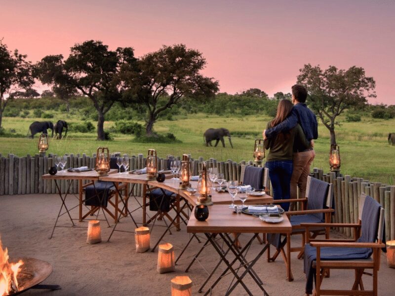 Why a Safari for Couples is the Ultimate Romantic Escape 4 romantic bush dinner with elephants in the background