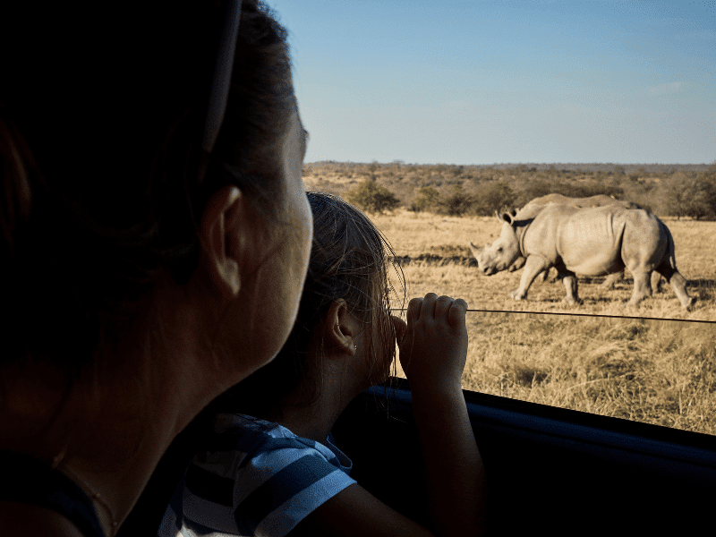 types of safaris in africa_ family safari