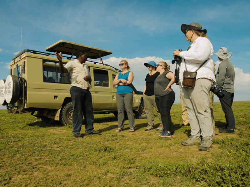 what is a typical day on safari in tanzania like