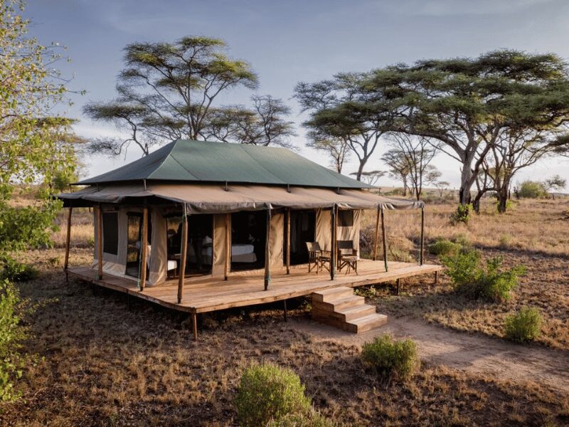 what is safari accommodation like in tanzania