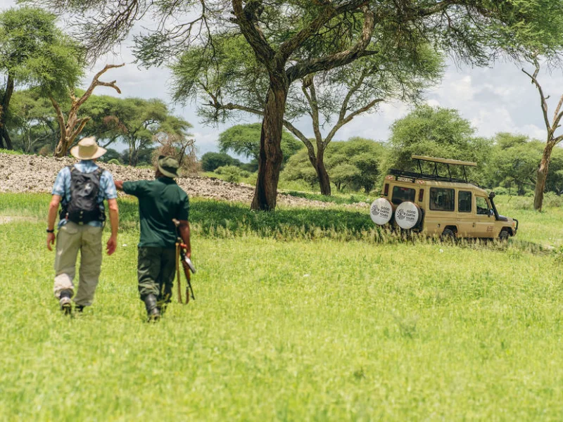 How Many Days Do You Need for Safari? A Realistic Guide to Planning the Right Length 5 Walking safari experience with ranger and guest near safari vehicle