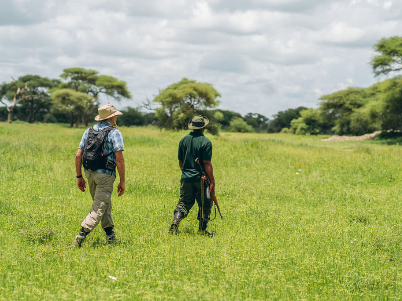 Guided walking safari across open savannah with armed ranger