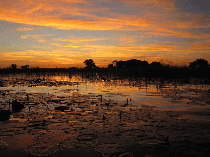 2025 Bucket List Trips - Botswana