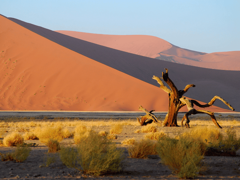 2025 Bucket List Trips - Namibia