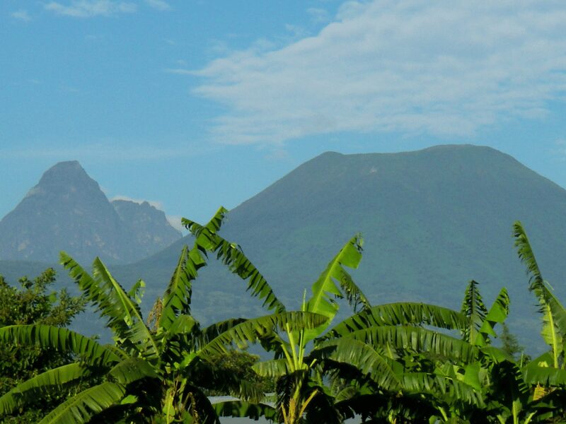 2025 Bucket List Trips - Rwanda