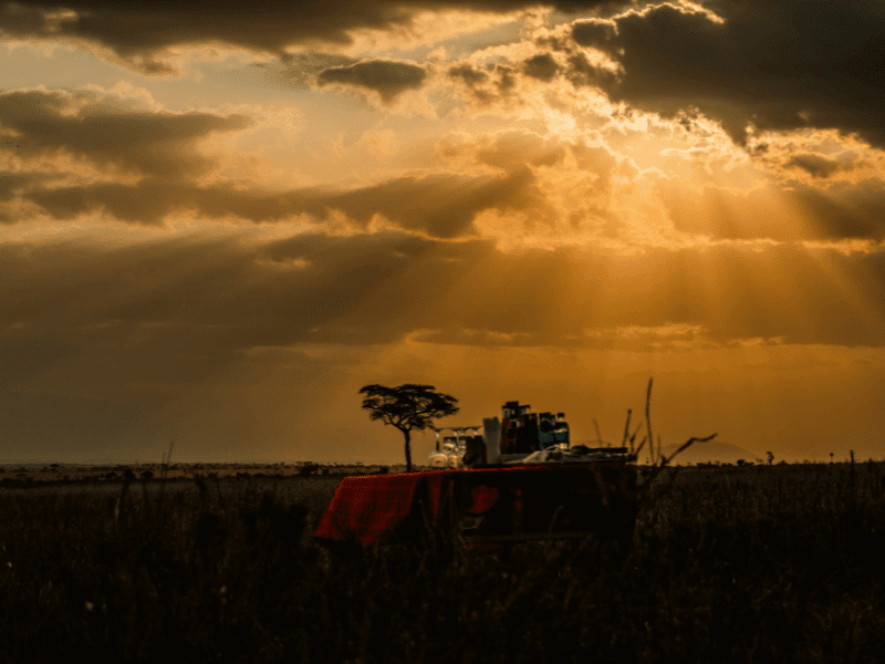 2025 Bucket List Trips - Tanzania
