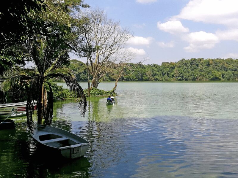The Top Things to Do in Arusha Tanzania 4 Lake Duluti Tanzania