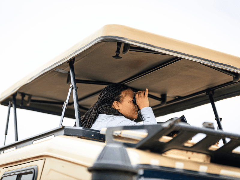 What Are the Vehicles Like on Safari? 1