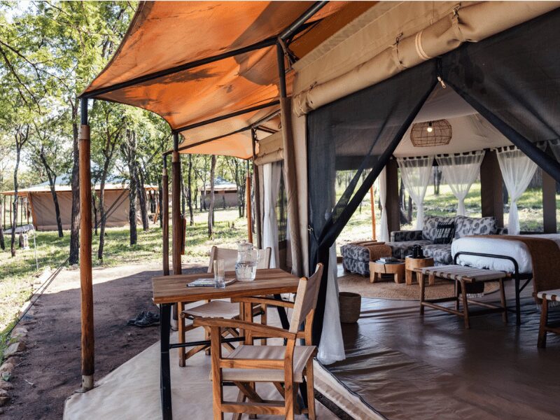 How Much Does an African Safari Cost? A 2026 Guide 1
