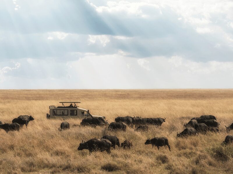 Your Complete Tanzania Safari Packing List for 2026 1