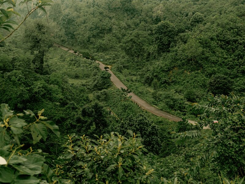 Best Time of Year to Go to Rwanda: Weather, Wildlife & Travel Tips 2 best time of year to go to rwanda
