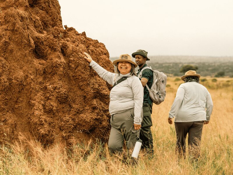 best time to go on safari in tanzania