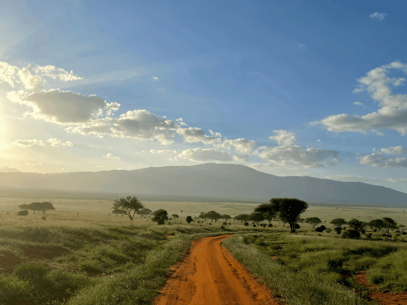 How to Hike Kilimanjaro and Safari in One Epic Trip 1