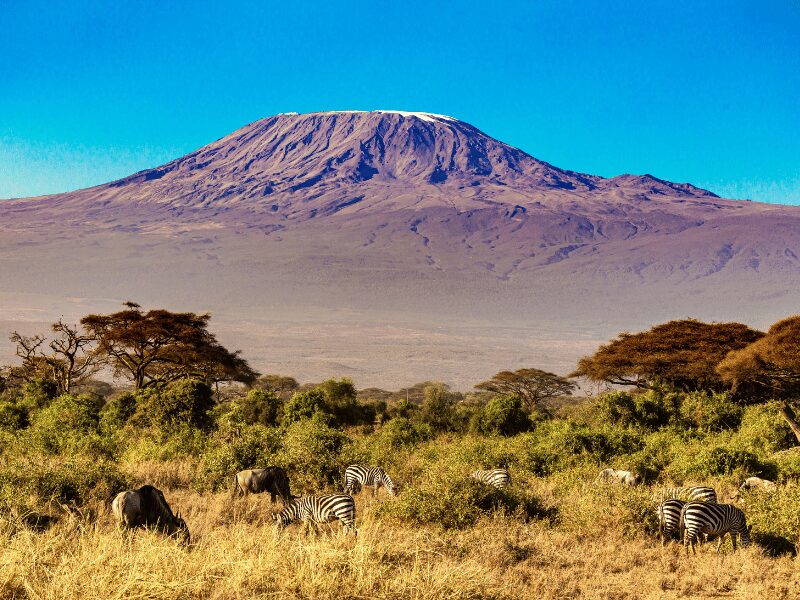 hike kilimanjaro and safari