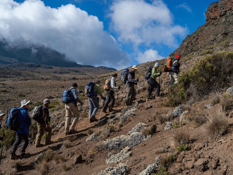 hikers scaling kilimanjaro