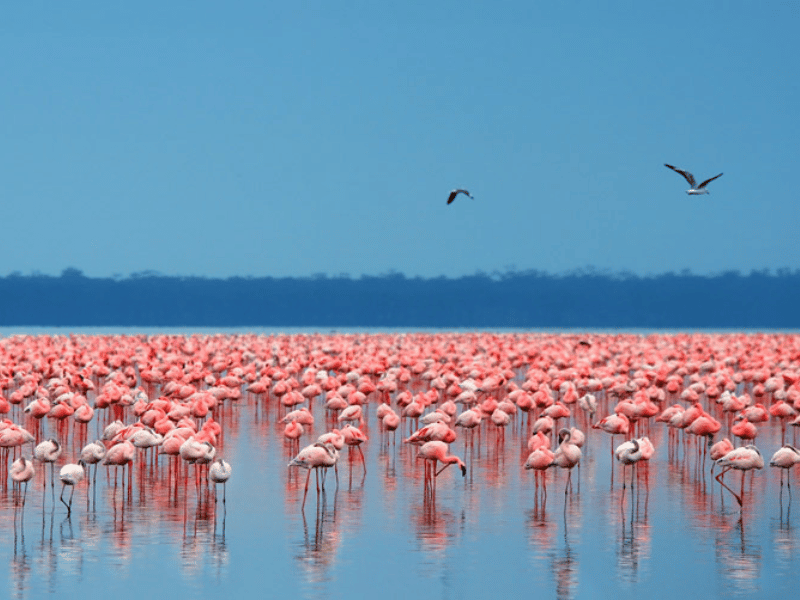 The Best Places to Visit in Kenya That Will Leave You Speechless 1